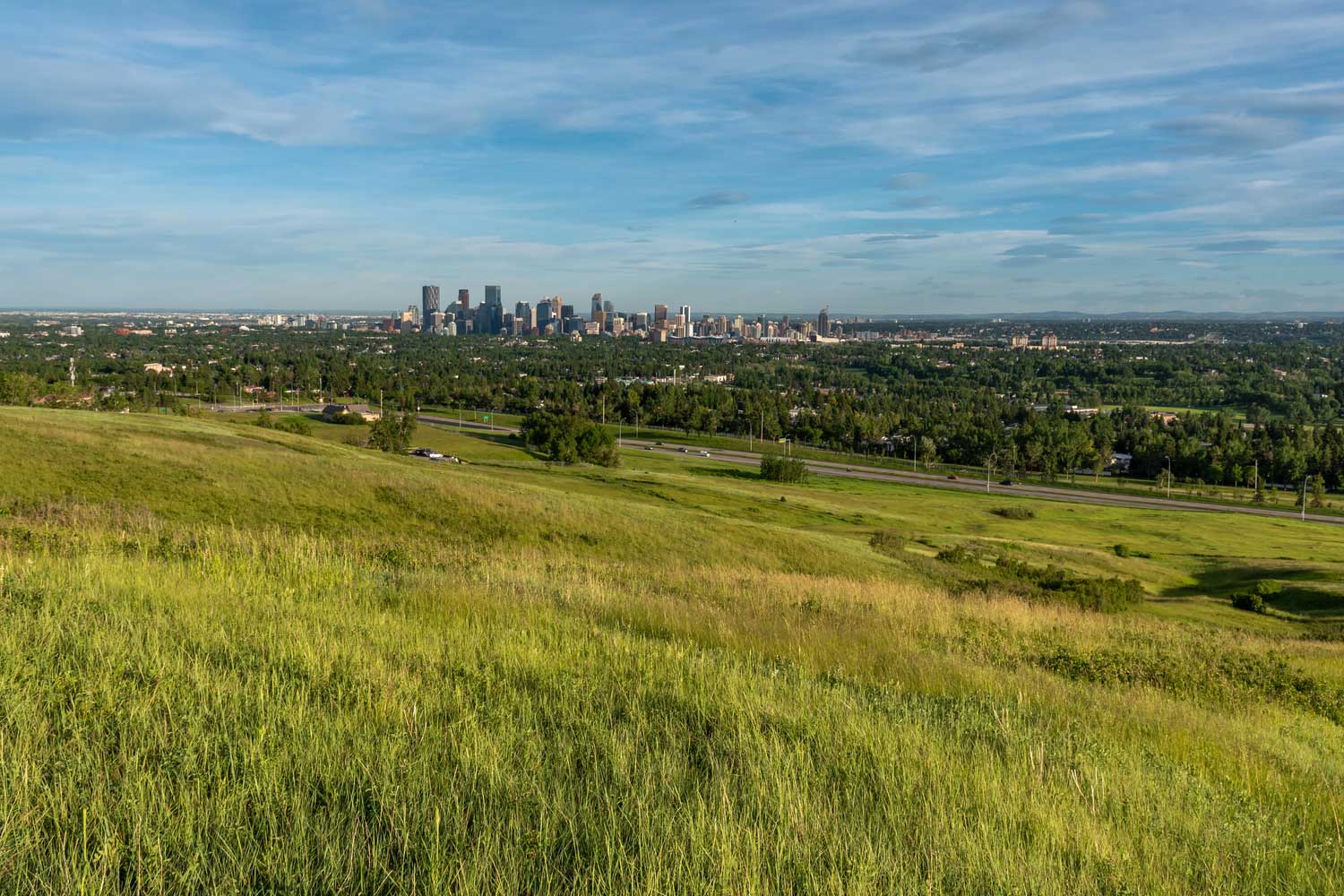 View of Calgary, Alberta from Nose Hill
